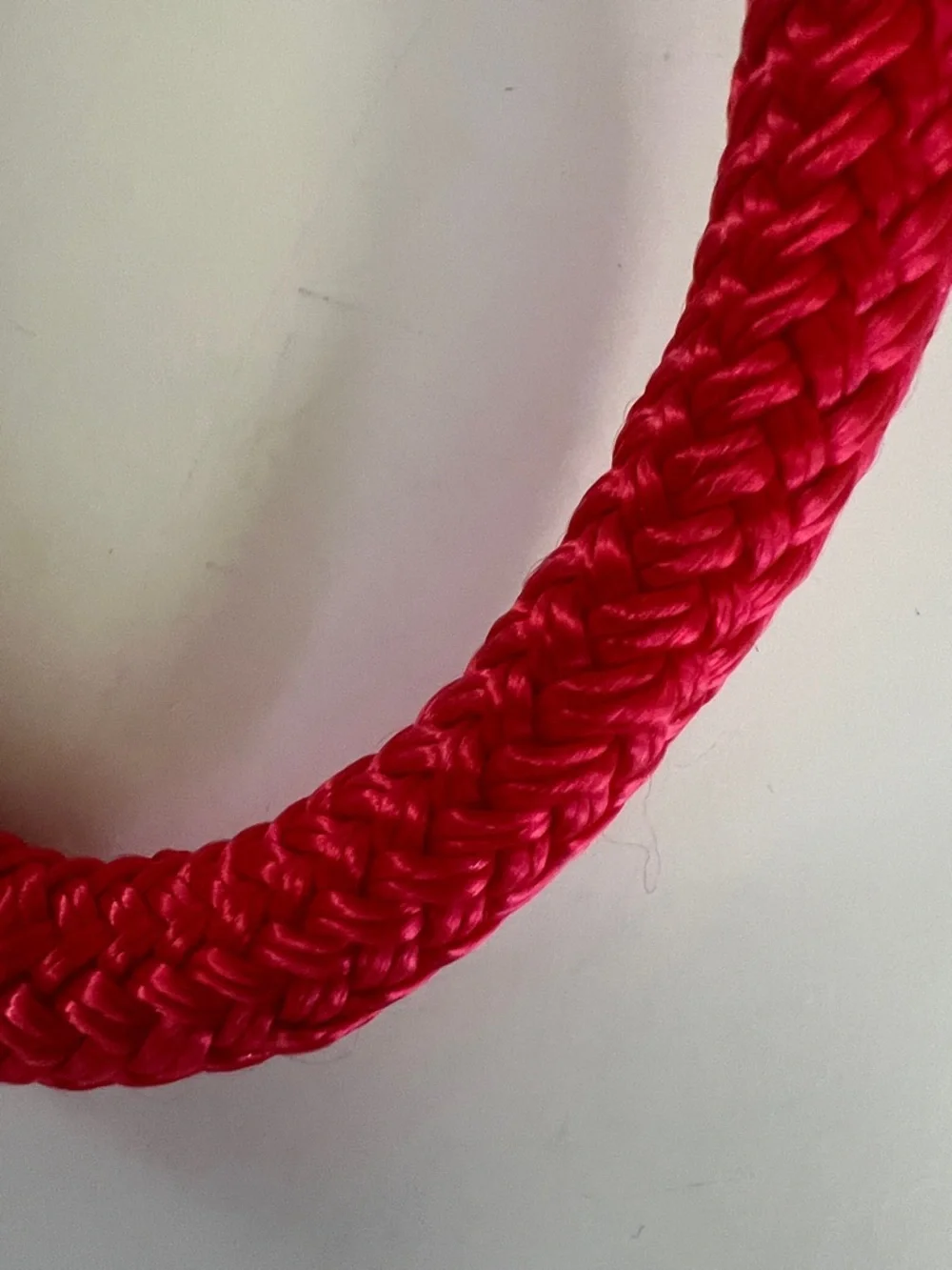 Red Rope Dog Leash with Gold Clip
